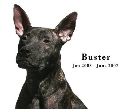 Buster: January 2003 - June 2007